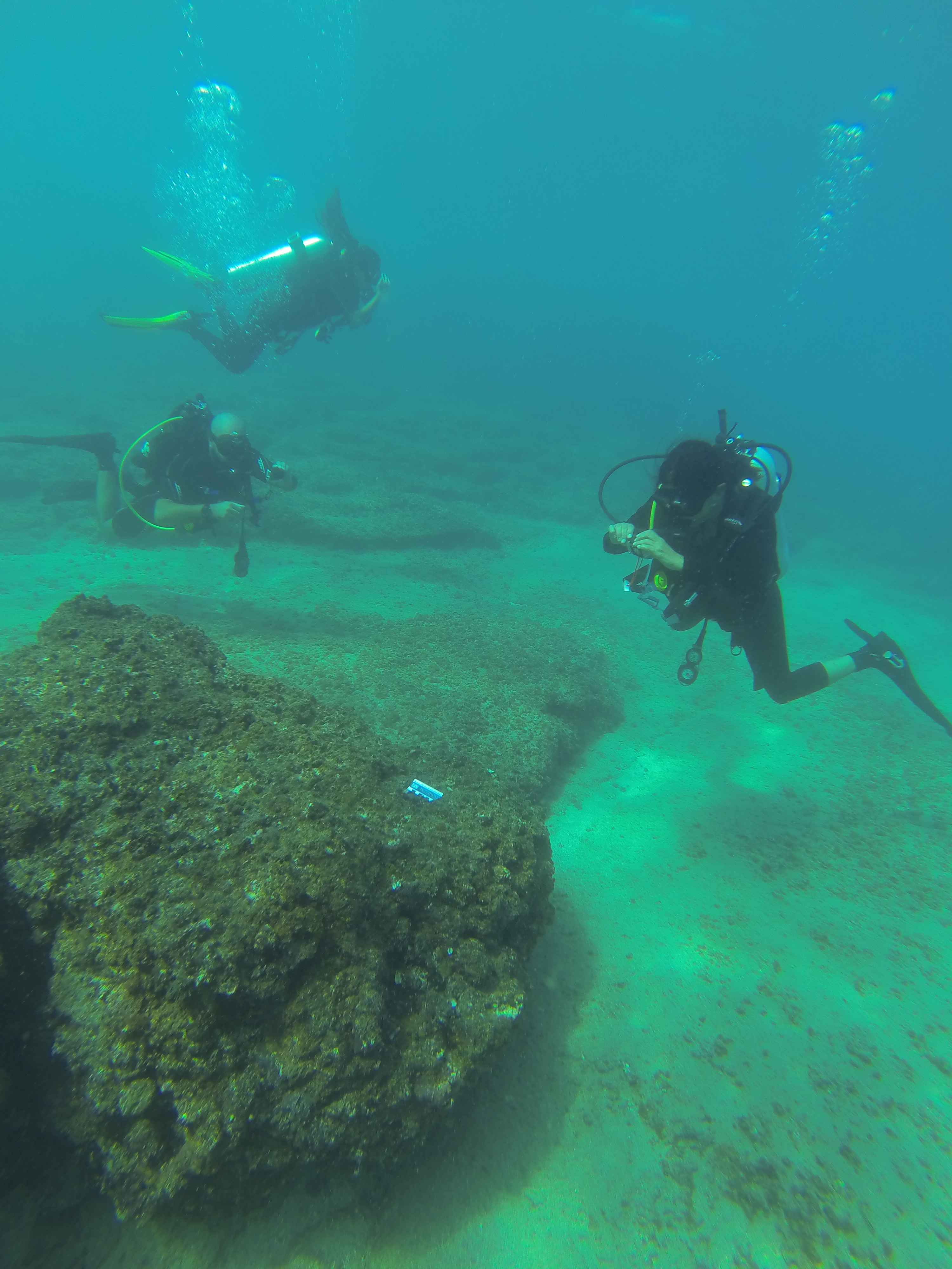 Underwater recording exercise using cameras